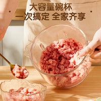 Electric Mini Food Chopper and Meat Grinder for Home Use