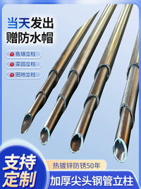 Thick-Walled Hot-Dip Galvanized Steel Pipe Hollow Round Tube Fence Post Grape Trellis Climbing Frame Triangle Iron Ground Pile Wire Mesh