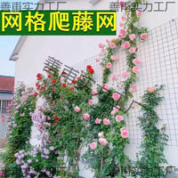 Garden Trellis Netting for Climbing Plants, Roses, and Vines - Wall-Mounted Support Mesh