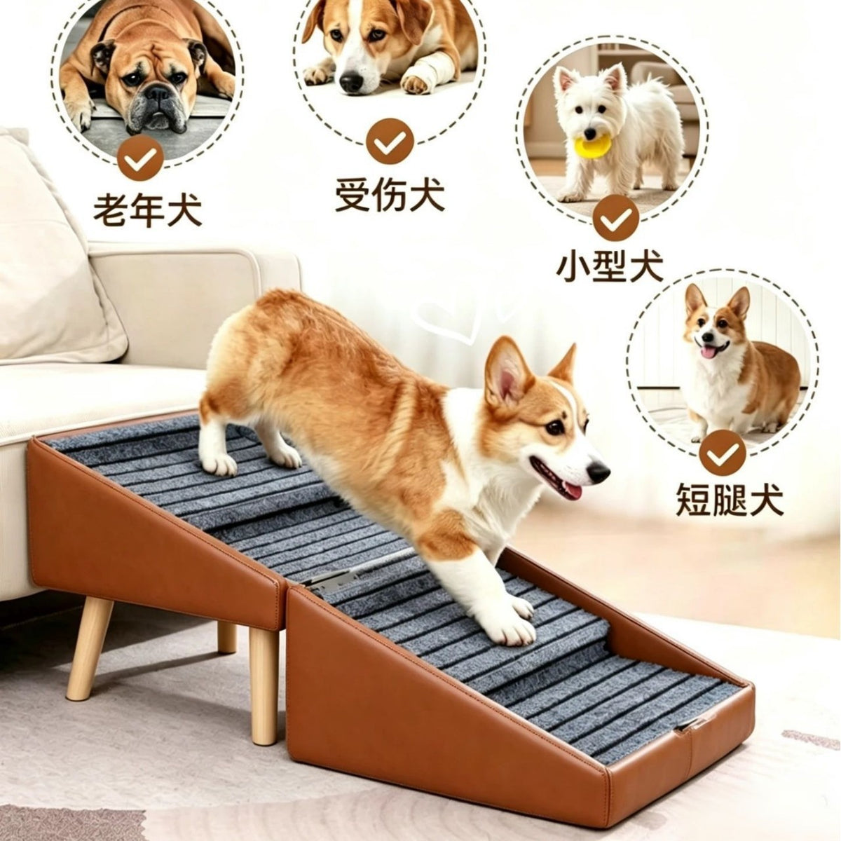 Pet Dog Stairs and Ramp Combo, Wooden Non-Slip Pet Ladder for Small to Medium Dogs