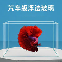 Seamless Bent Glass Aquarium for Desktop Office Home Tropical Fish Goldfish Tank
