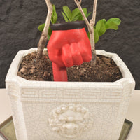 Ceramic Finger Drip Irrigator for Potted Plants - Automatic Watering Device