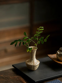 Wabi-Sabi Ceramic Hydroponic Vase for Dried Flowers and Home Decor