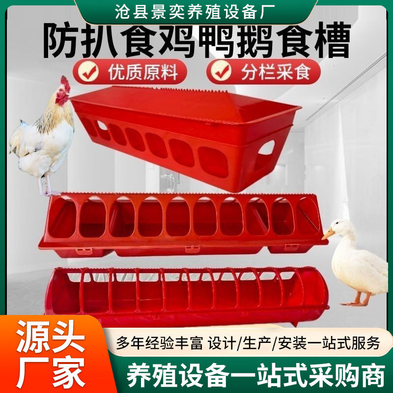 Chicken Feeder Trough Anti-Scatter Poultry Feeding Trough for Chicks and Pigeons