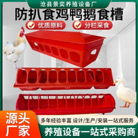 Chicken Feeder Trough Anti-Scatter Poultry Feeding Trough for Chicks and Pigeons