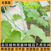 Plant Climbing Net Trellis for Garden Passion Fruit and Vines, Heavy-Duty Support Netting