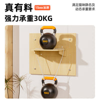 Modular Wall-Mounted Cat Climbing Frame with Tunnel and Perch