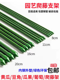 Garden Plant Support Stakes for Climbing Vines, Coated Steel Pipe Trellis for Outdoor Yard and Planters