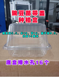 Disposable Plastic Seedling Trays with Lids for Hydroponic Pea Sprouts & Microgreens, 1000-Pack