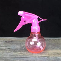 Mini Plastic Pressure Spray Bottle for Gardening and Household Use
