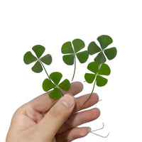 Lucky Four-Leaf Clover Transparent Card Bookmark