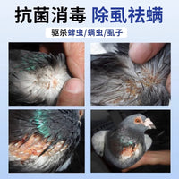 Bird Mite and Lice Spray for Parrots and Other Pet Birds
