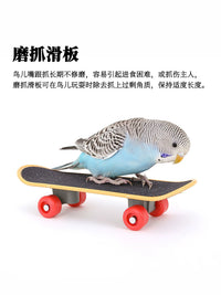 Parrot Chew Toys for Small to Medium Birds - Relieves Stress, Grinding Teeth, and Provides Entertainment