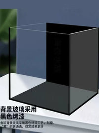 Black-Backed Desktop Aquarium Fish Tank for Home and Office