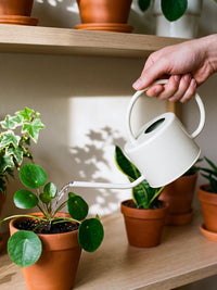 Long Spout Watering Can for Indoor Outdoor Plants, 1L Metal Watering Pot for Potted Flowers and Garden