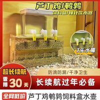 Automatic Feeder and Waterer Set for Quail and Rutin Chickens, Anti-Scratch Acrylic Design