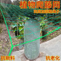 Plant Trellis Netting for Climbing Vegetables and Fruits, Garden Support Mesh for Cucumber, Loofah, Passion Fruit