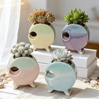Creative Round Ceramic Succulent Planter with Ice Crack Glaze for Indoor Plants