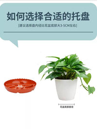 Ventilated Thickened Resin Plant Pot Saucer with Drainage Base