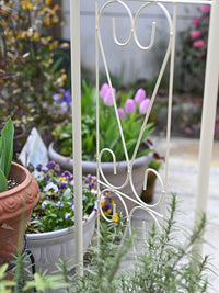Large European Vintage Wrought Iron Garden Arch Trellis for Climbing Plants and Yard Decor