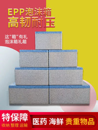 EPP Foam Thermal Insulated Food Delivery Box for Cold Chain Logistics