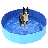 Foldable Pet Swimming Pool for Dogs and Cats, Portable Wading Pool for Bathing and Play