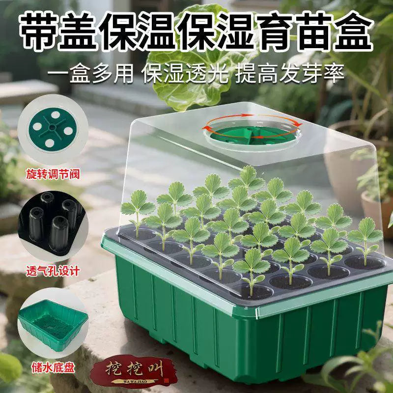 20-Cell Seed Starter Tray Kit with Humidity Dome, Adjustable Ventilation, for Seedlings and Cuttings