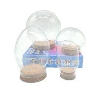 DIY Glass Dome Display with Cork Base for Dried Flowers Figurines Keepsakes