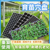 Seedling Starter Trays with Drip Trays, Thickened Reusable Plant Germination Kits for Vegetables, Fruits, Flowers