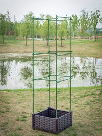 Garden Trellis Planter Box for Climbing Plants, Vegetables, and Fruits