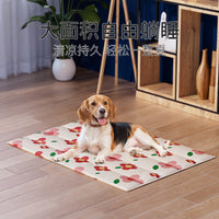 Pet Cooling Mat for Cats and Dogs, All-Season Sleep Pad, Summer Ice Pad for Pet Beds