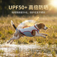 Summer Cooling Pet Vest for Small to Medium Dogs and Cats, Sun Protection Color Block Design
