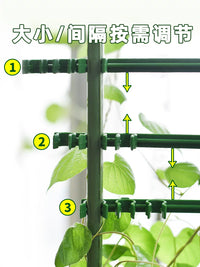 Plant Support Stakes for Climbing Vines, Tomatoes, Eggplants, Cucumbers, and Roses