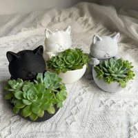 3D Printed Cat Shaped Planter with Drainage Hole for Succulents and Small Plants
