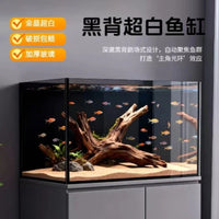 Crystal Clear Black-Backed Glass Aquarium for Desktop Aquascaping