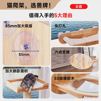 Petshou Cloud Forest Wall-Mounted Suction Cup Cat Climbing Frame with Space Capsule and Hammock