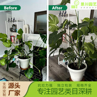 Plant Support Stakes for Climbing Plants, Roses, and Monstera - Indoor Garden Trellis Kit