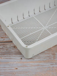 Thickened White Plastic Seedling Trays for Succulents and Lithops, Small Propagation Planters