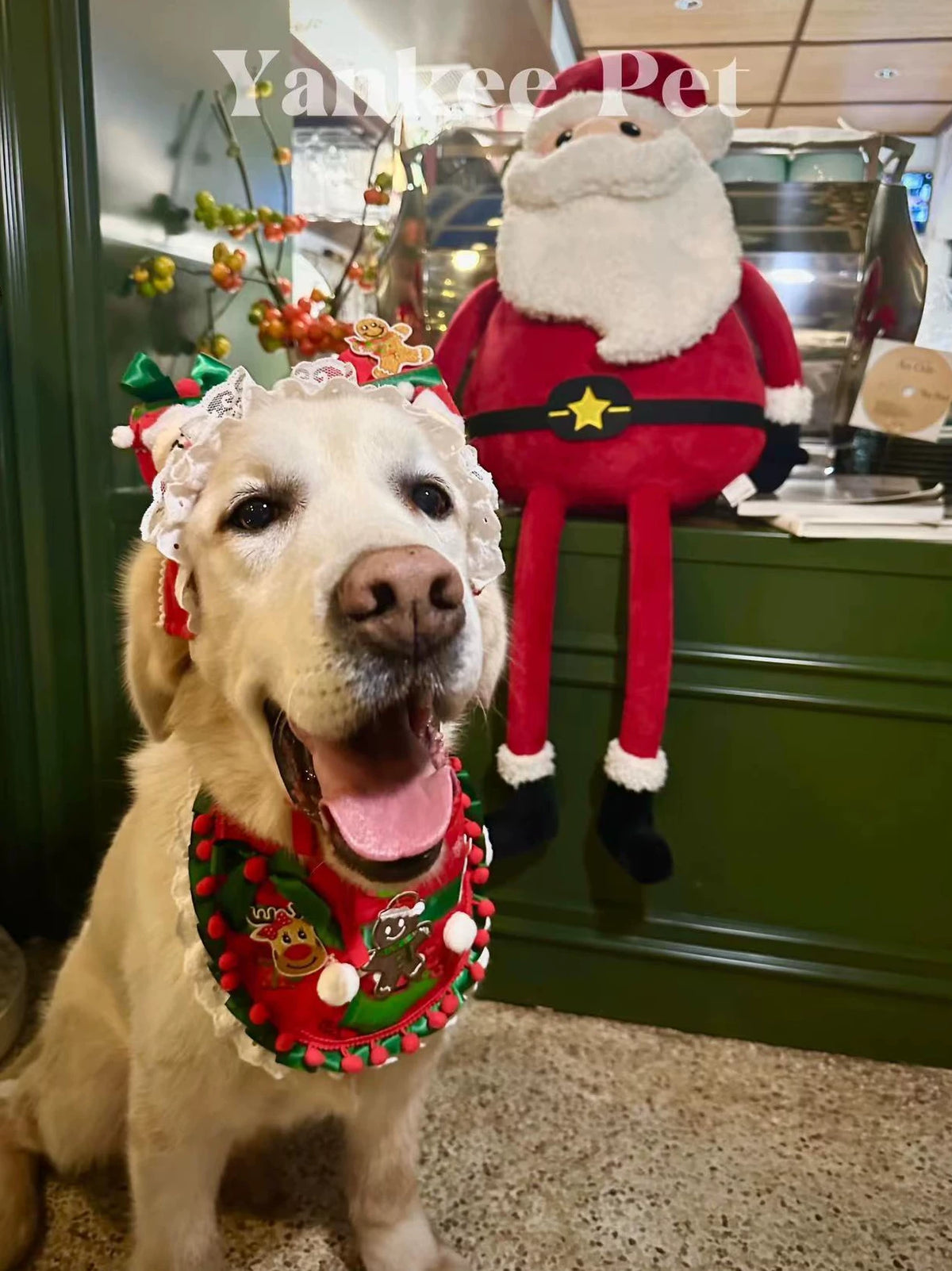 Christmas Pet Scarf with LED Lights & Headband Set, Santa Dog Costume for Holiday Photos