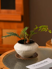 Jingdezhen Ceramic Orchid Pot with Tray - New Chinese Style Vintage White Planter for Phalaenopsis