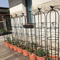 Metal Garden Trellis for Climbing Plants, Rose, Clematis, and Vine Support