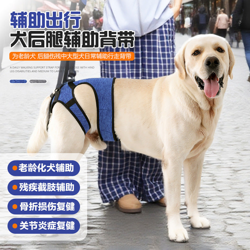 Dog Lift Harness for Injured & Senior Dogs, Adjustable Support Sling with Handle for Rehabilitation