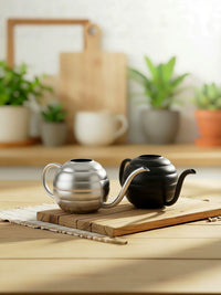 Stainless Steel Wave Ball Watering Can for Indoor Plants, Mini Succulent Spray Bottle, Home Balcony Sprinkler for Kids