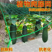 Plant Trellis Netting for Climbing Vegetables and Fruits, Garden Support Mesh for Cucumber, Loofah, Passion Fruit