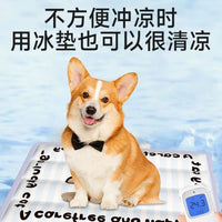 Pet Cooling Mat for Cats and Dogs, Summer Water Bed Mat for Small Pets, Rabbits, and Puppies