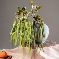 Artificial Bean Pod Flower Stem for Wedding Decor & Landscape Design