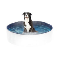 Foldable PVC Pet Swimming Pool and Bath Tub for Dogs and Cats