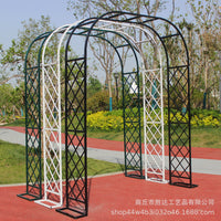 Metal Garden Arch Trellis for Climbing Plants, Roses, and Outdoor Wedding Decor