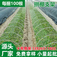 Plant Nursery Greenhouse Support Frame with Sunshade Net and Climbing Poles for Vegetable Growing, Anti-Insect Net Plastic Arch Frame