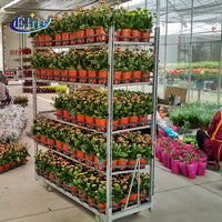 Mobile Detachable Plant Transport Cart for Potted Succulents and Flowers
